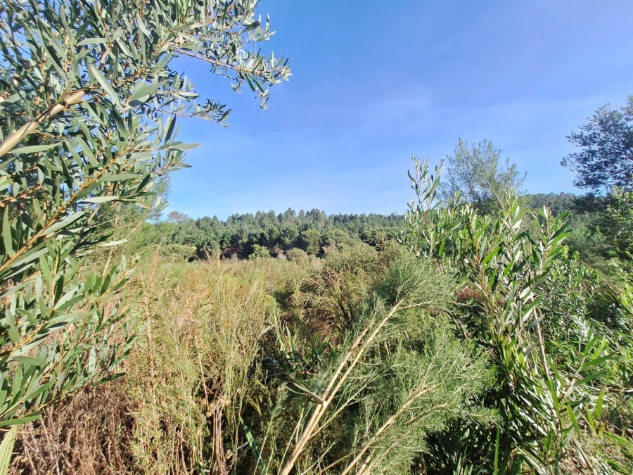 Commercial Property for Sale in Bredasdorp Rural Western Cape